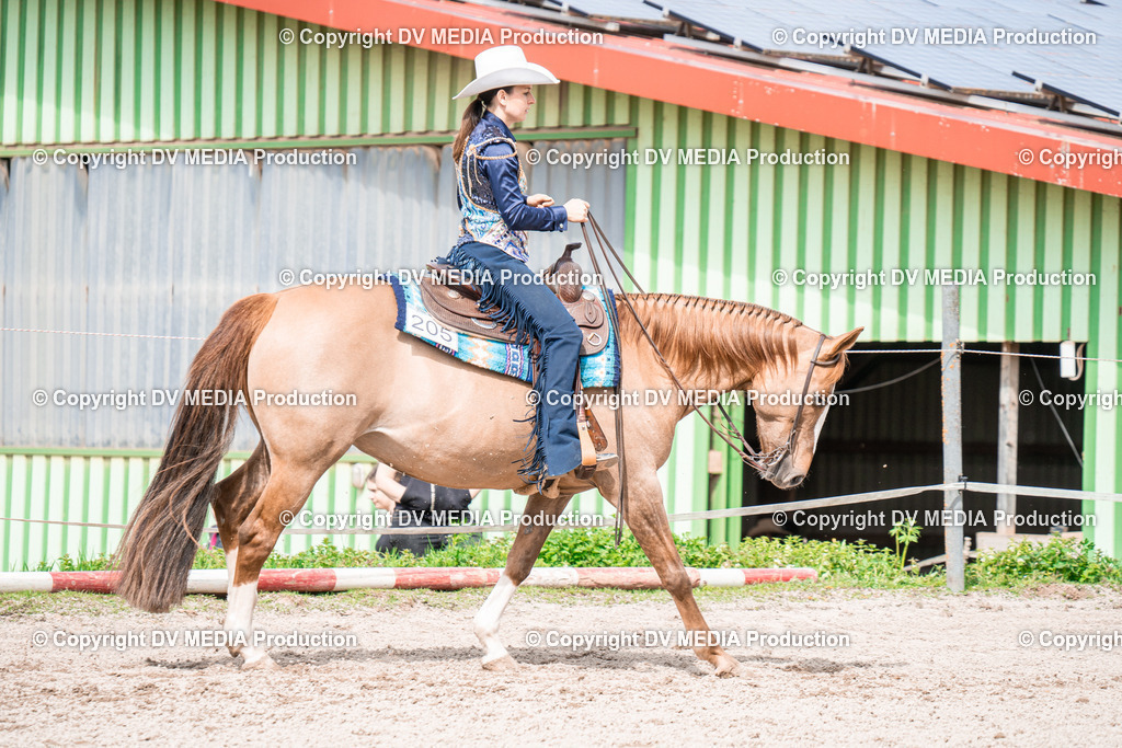 BAL02484 | dv-media-shop - Realisiert mit Pictrs.com