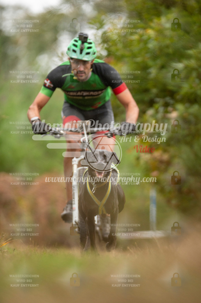 TSB_2023_E5_Bike-1 | PayLife
