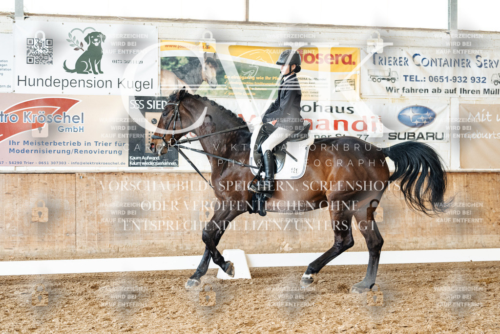 CK900485 | Turnierfotografie Pferdefotografie Trier Rheinland-Pfalz Pferdesport Reitsport Tierfotografie Sportfotografie Pferdevideo Pferdevideografie Equestrianvideography equestrianphotography  - Realisiert mit Pictrs.com