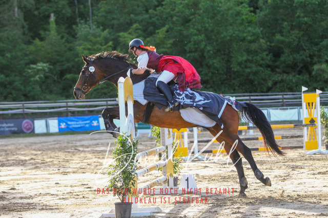DKP45213 | Turnierfotos kaufen im Webshop von Daniel Kuhl Photography – entdecke professionelle Reitsportfotos aus Turnieren & Events. Hochwertige Turnierbilder online bestellen & sichern. Jetzt Fotos von Reitsportturnieren kaufen!