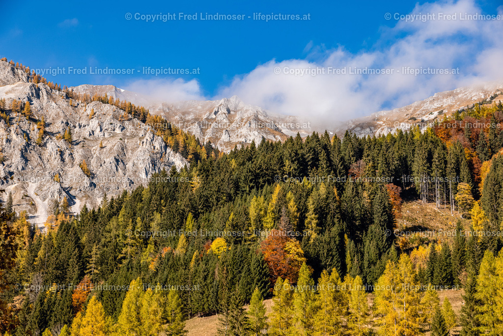 Seewiesen Duerrsee Hochschwab Herbst 24102021-0589 | Fotos und Fotoprodukte - Realisiert mit Pictrs.com