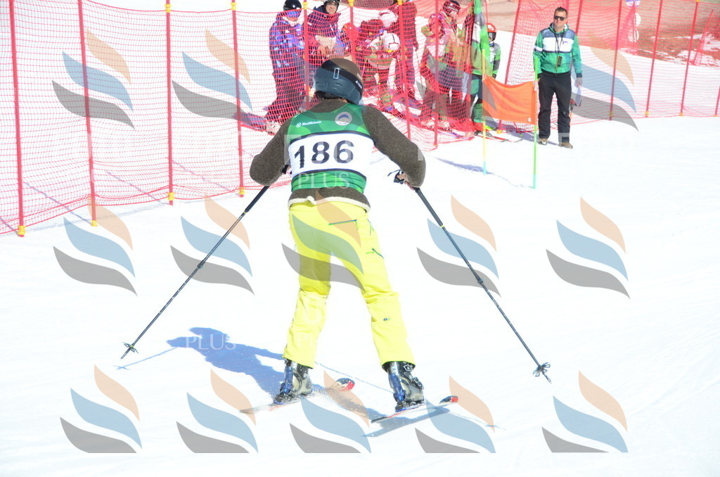 C6467 | holidayphoto