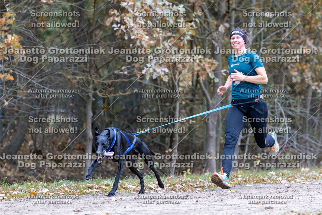 Dog Paparazzi - SD CaniX Championship 2025-605 | Dog Paparazzi Jeanette Grottendiek Fotografie & Videografie - Realisiert mit Pictrs.com