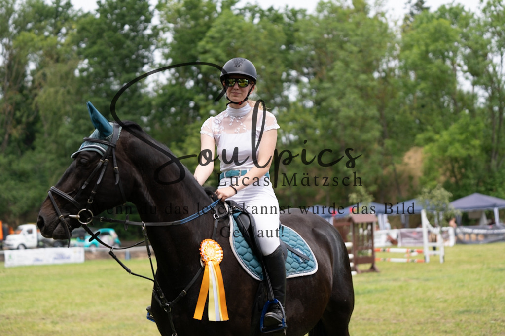 A7V06993 | Pferdefotograf