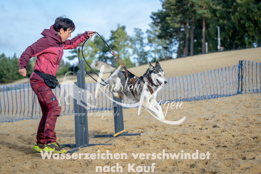 0952_ZZ92958 | kk-dogfotos