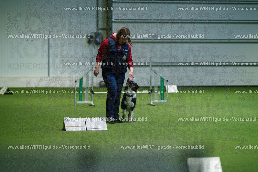 7R505405 | Professionelle Tierfotografie in Mönchengladbach von Daniel Wirth (allesWIRTHgut). Liebevolle & natürliche Bilder von Hunden & Katzen für unvergessliche Erinnerungen.