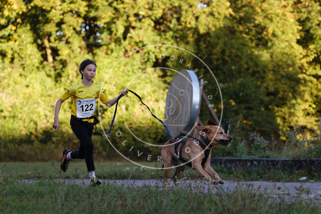 0L8A4299 | Hundefotografie, Tierfotograf, Pfotenfotografie, Fotoshooting Hund, Hunde Portrait, Hundesport, Hundeportraits, Heideshooting, Hunde, Sportfotograf, Hundefotograf, Turnierhundsport, THS,  - Realisiert mit Pictrs.com