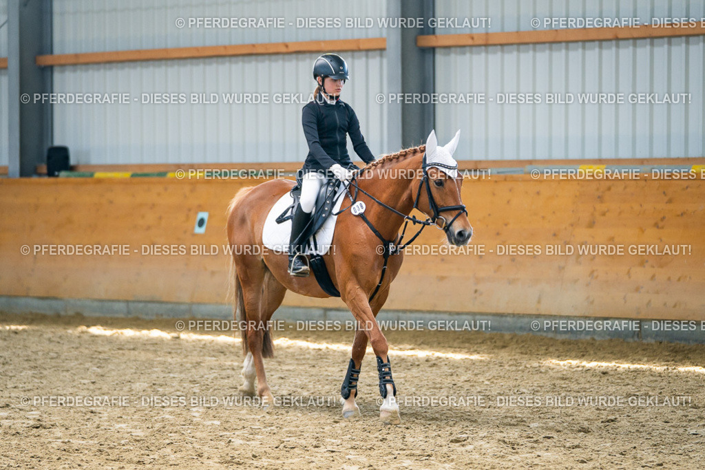 DSC01858 | Pferdegrafie