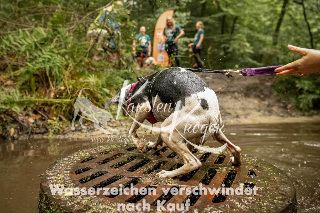 1210_ZZ92958-Bearbeitet | kk-dogfotos
