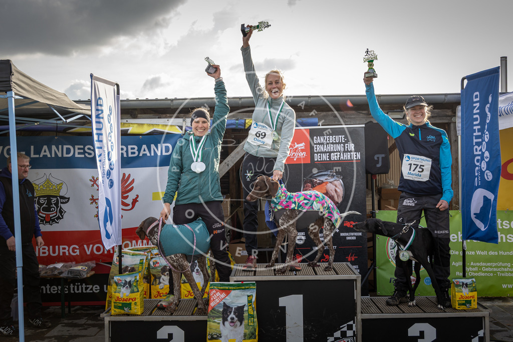 0L8A9257 | Hundefotografie, Tierfotograf, Pfotenfotografie, Fotoshooting Hund, Hunde Portrait, Hundesport, Hundeportraits, Heideshooting, Hunde, Sportfotograf, Hundefotograf, Turnierhundsport, THS,  - Realisiert mit Pictrs.com