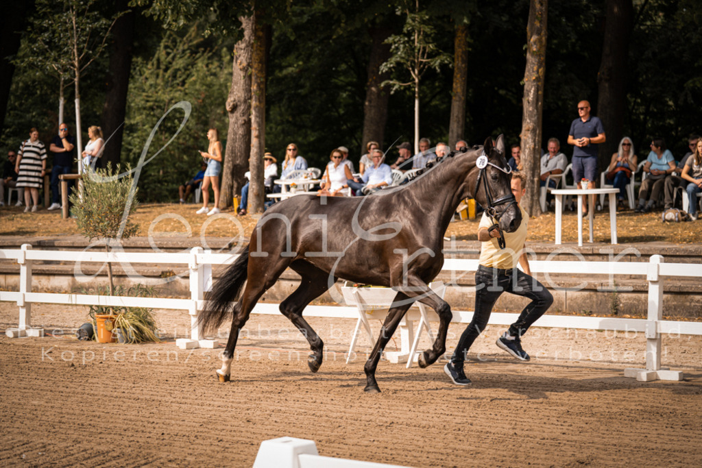 FrER00008 | Leoni Ertmer Photography - Realisiert mit Pictrs.com