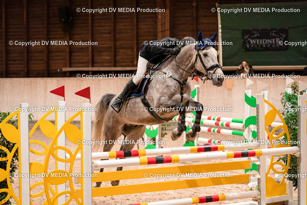 Springen Tag 1-386 | dv-media-shop - Realisiert mit Pictrs.com