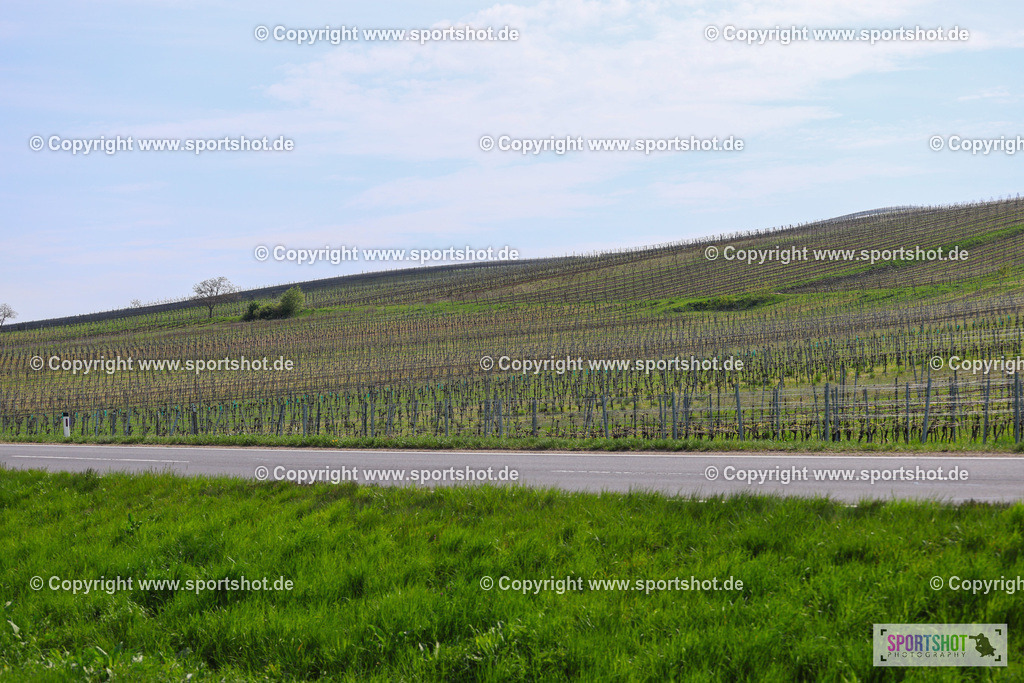 IMG_2078 | @sportshot_your_pictrs #yourpictures#roadtowm2029 #nrm #neusiedlerseeradmarathon #neusiedlersee #neusiedlerseetourismus #burgenland #mörbisch #nrm26 #burgenlandtourismus #voglundco #poweredbyburgenlandtourismus #radsport #rad #marathon #ucigranfondo #visitburgenland #ucigranfondoworldseries