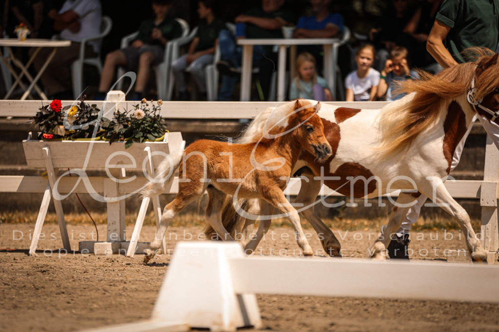 01.DoKR00100 | Leoni Ertmer Photography - Realisiert mit Pictrs.com