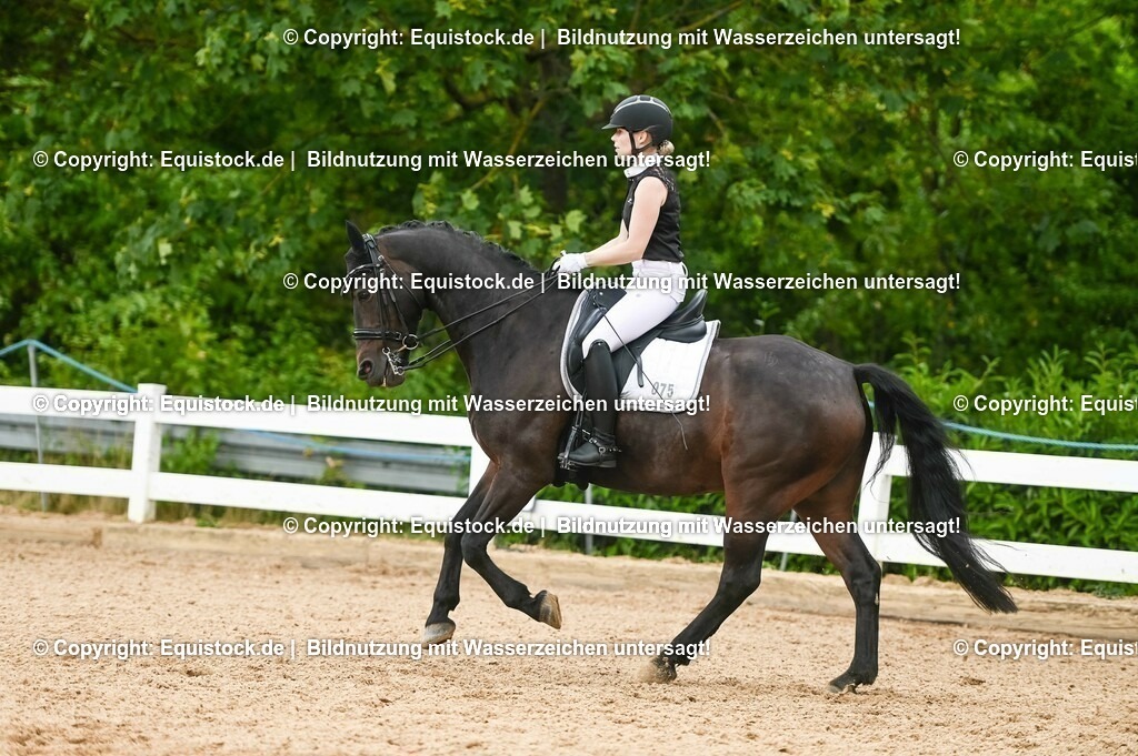 20230716_01_Dressurprüfung Kl.M_0465 | equistock