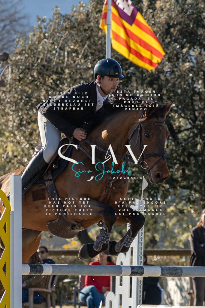 IMG_2077 | s-jay-photography - Realisiert mit Pictrs.com