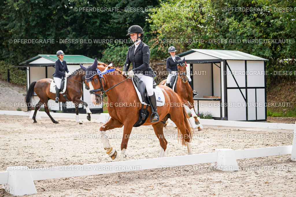 DSC02399 | Pferdegrafie