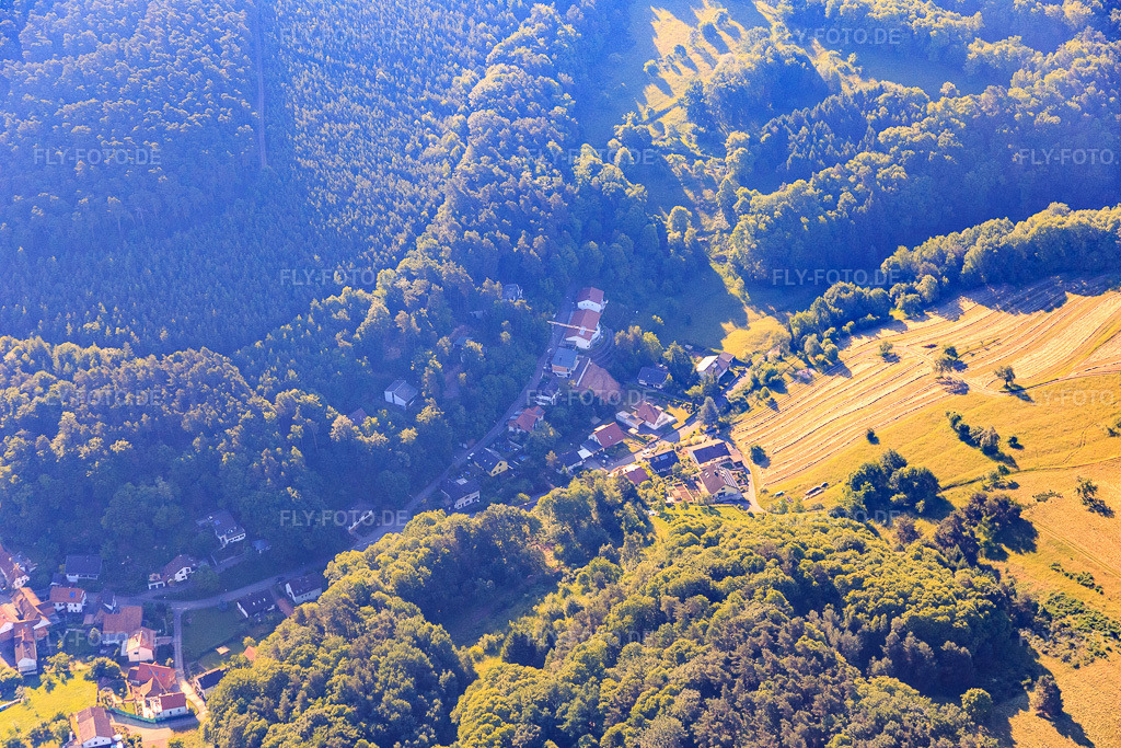 Luftbild: Am Querenberg im Ortsteil Blankenborn in Bad Bergzabern im Bundesland Rheinland-Pfalz in Deutschland. Foto: IMG_080057.jpg vom 05.06.2015 durch Werner Riehm/FLY-FOTO.de