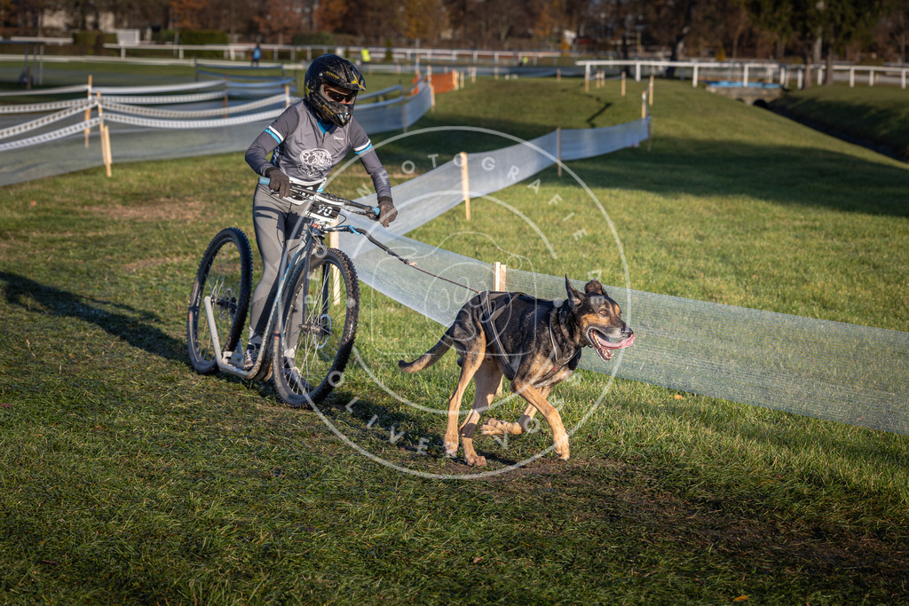 CaniXpix_0L8A3917 | Hundefotografie, Tierfotograf, Pfotenfotografie, Fotoshooting Hund, Hunde Portrait, Hundesport, Hundeportraits, Heideshooting, Hunde, Sportfotograf, Hundefotograf, Turnierhundsport, THS,  - Realisiert mit Pictrs.com