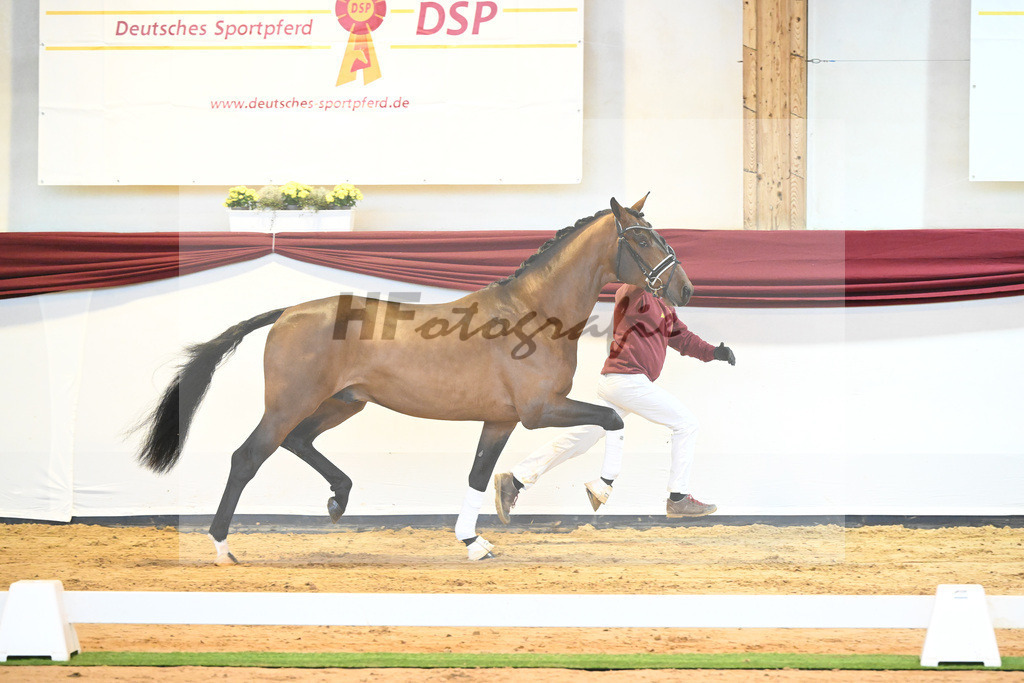 Kat-Nr. 64 v. Vitalis_Bock_66222154 | hf-fotografie - Realisiert mit Pictrs.com