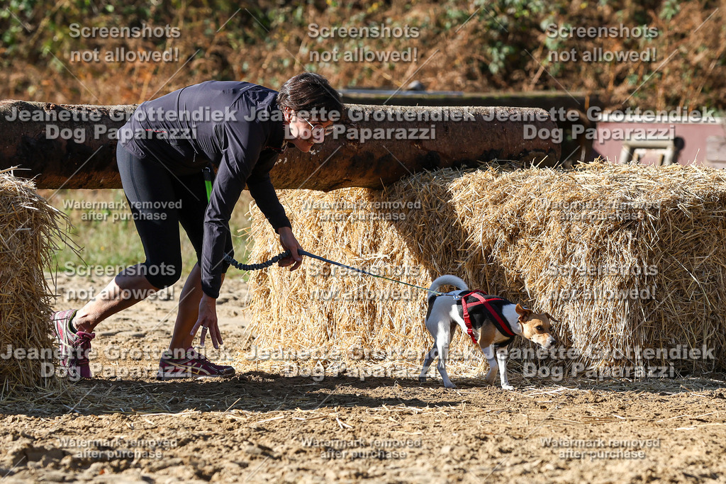 Dog Paparazzi - Strongdog 10-25-4684 | Dog Paparazzi Jeanette Grottendiek Fotografie & Videografie - Realisiert mit Pictrs.com