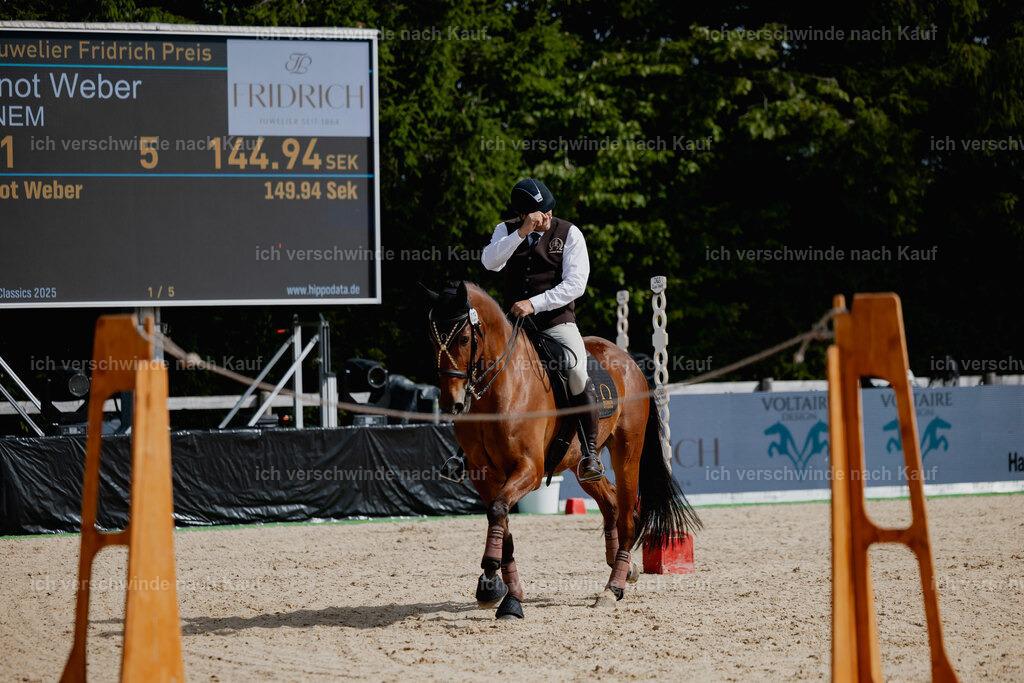 Gernot25_FHC2025-20991 | working equitationturnier fotograf videograf stoibphotography marixx film working equitation deutschland reitsport turnierfotografie eventfotografie equestrian events