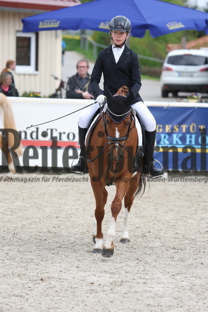 Birkhof_2023_Reiter-WB_Trab-Galopp_Gruppe_03 (31) | Alle Fotos der Reiterjournal Fotografin Doris Matthaes im Reiterjournal Online-Fotoshop. - Realisiert mit Pictrs.com
