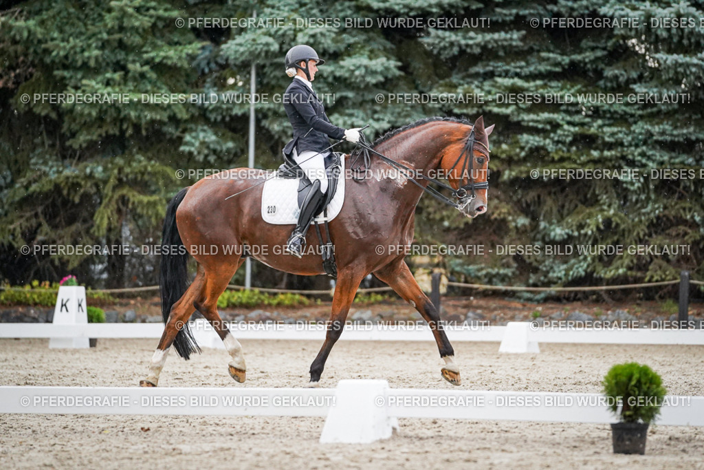 DSC09869 | Pferdegrafie