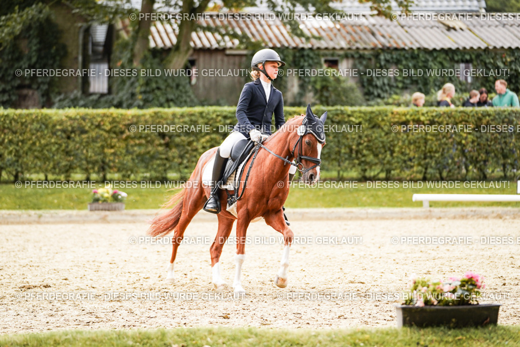 DSC00611 | Pferdegrafie