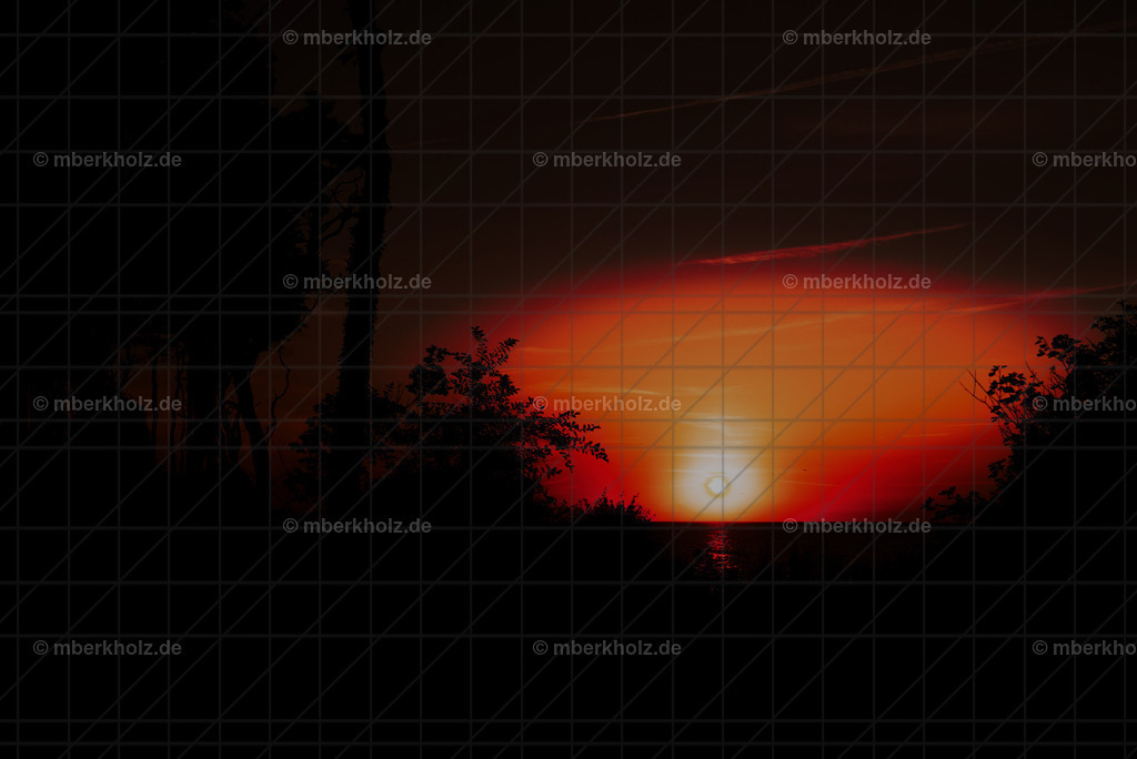 Marko_Berkholz_mberkholz_gespensterwald_MBE7595 | Bildkunst Warnemünde, Fotokunst Warnemünde, Fotostudio Rostock Warnemünde, Technologiecampus, Onlinedruckerei, Fotokunst Warnemünde, Ostseebad Warnemünde 