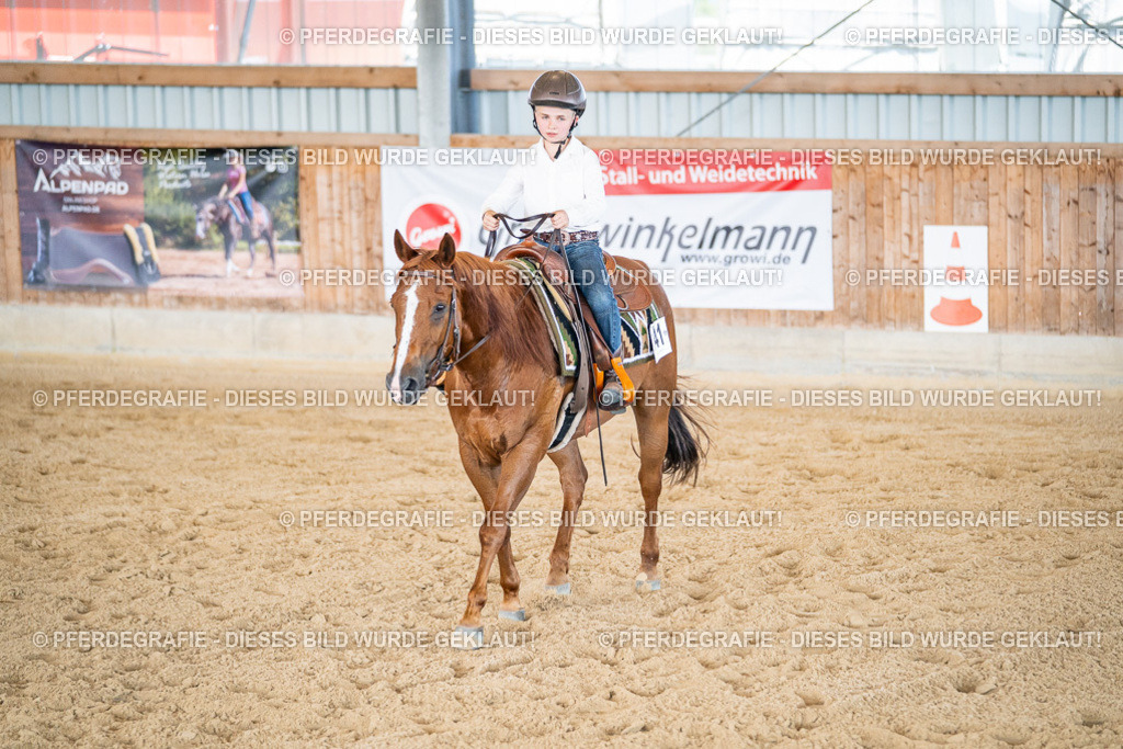 DSC03172 | Pferdegrafie