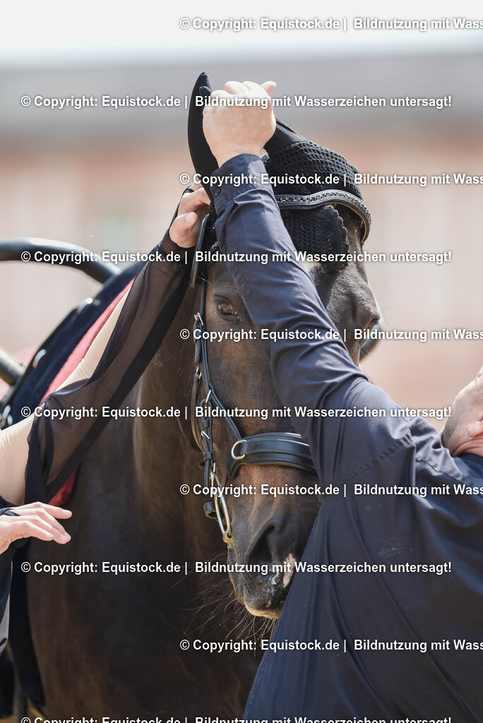 20250608_CVI-Masterclass_0833 | Foto: Thomas Hartig