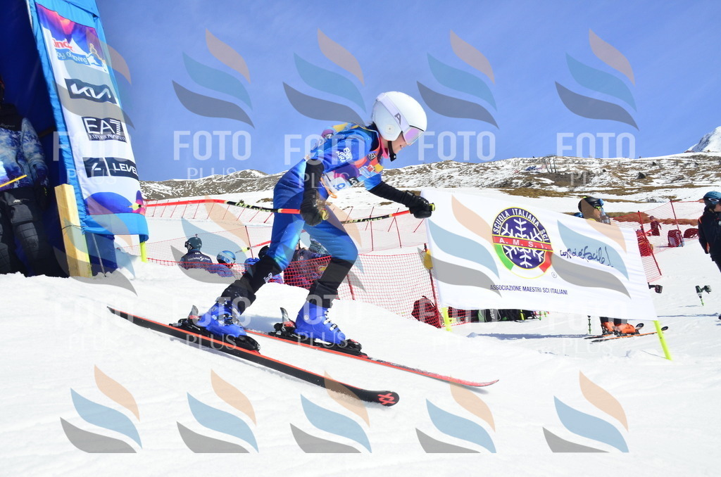 _ELE0517 | holidayphoto