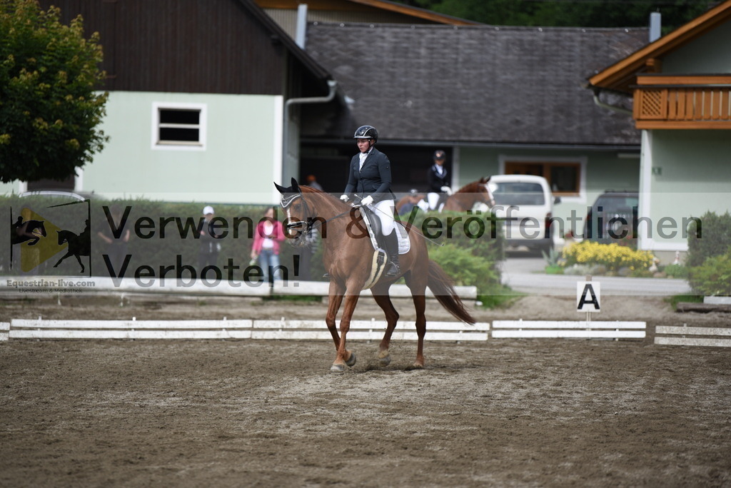 DSC_4927 | equestrian-live-com