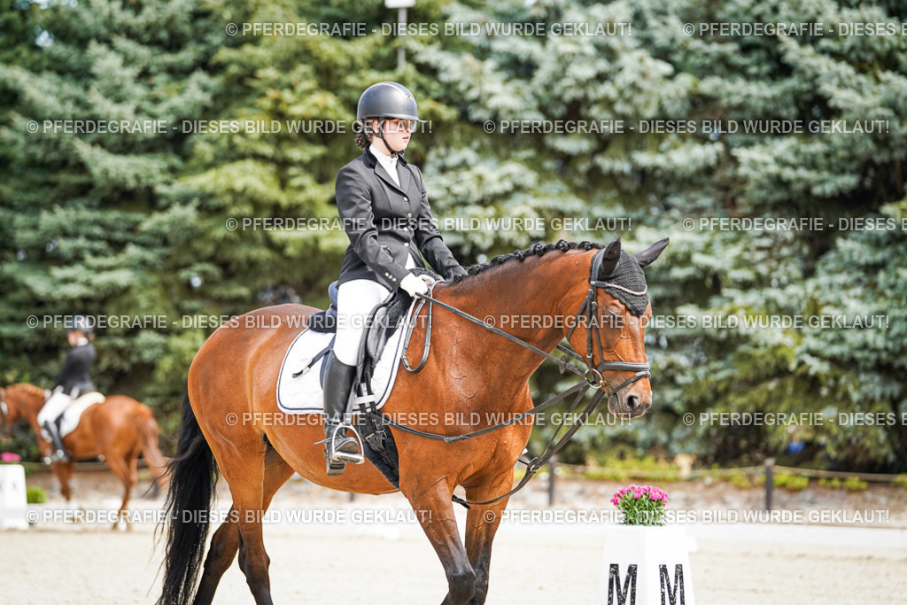 DSC02562 | Pferdegrafie