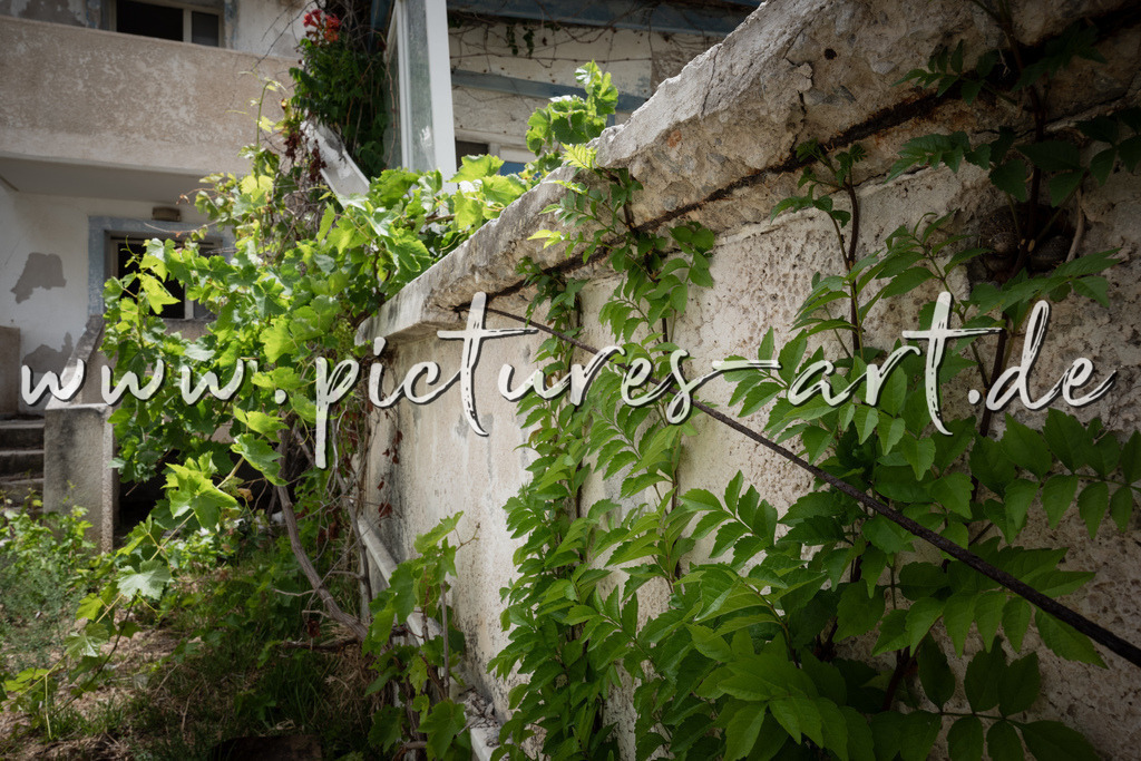 DSC09843 | pictures-art.de