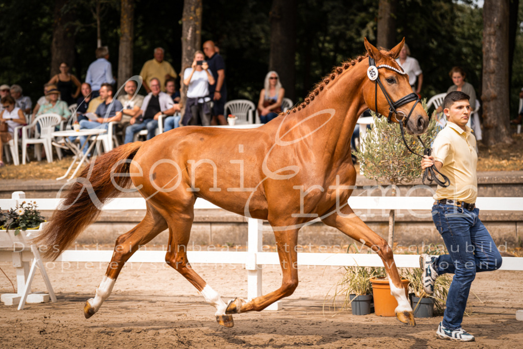 5.Fr00029 | Leoni Ertmer Photography - Realisiert mit Pictrs.com