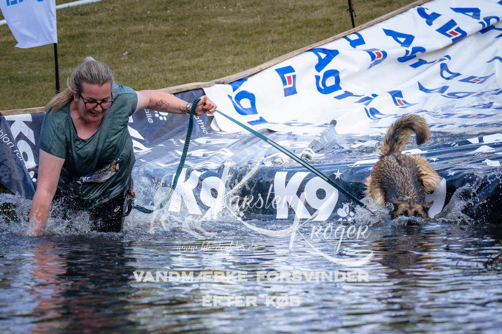 _ZZ920170921 | kk-dogfotos