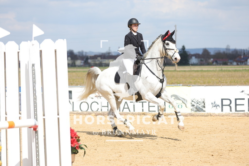 0P6A7644 | Willkommen bei Brunnmayr - Design & Fotografie – Ihrem Spezialisten für Reitturniere und Pferdeveranstaltungen in Oberösterreich, Salzburg und Bayern! Seit über 17 Jahren sind wir leidenschaftlich dabei.