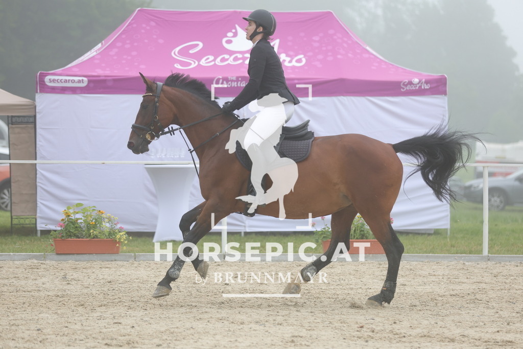 0P6A7700 | Willkommen bei Brunnmayr - Design & Fotografie – Ihrem Spezialisten für Reitturniere und Pferdeveranstaltungen in Oberösterreich, Salzburg und Bayern! Seit über 17 Jahren sind wir leidenschaftlich dabei.