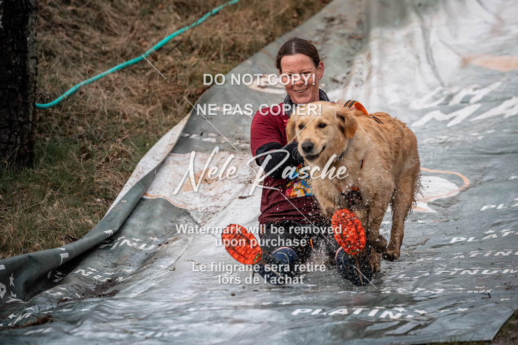 nelerasche_1330-1400_220 | nelerasche