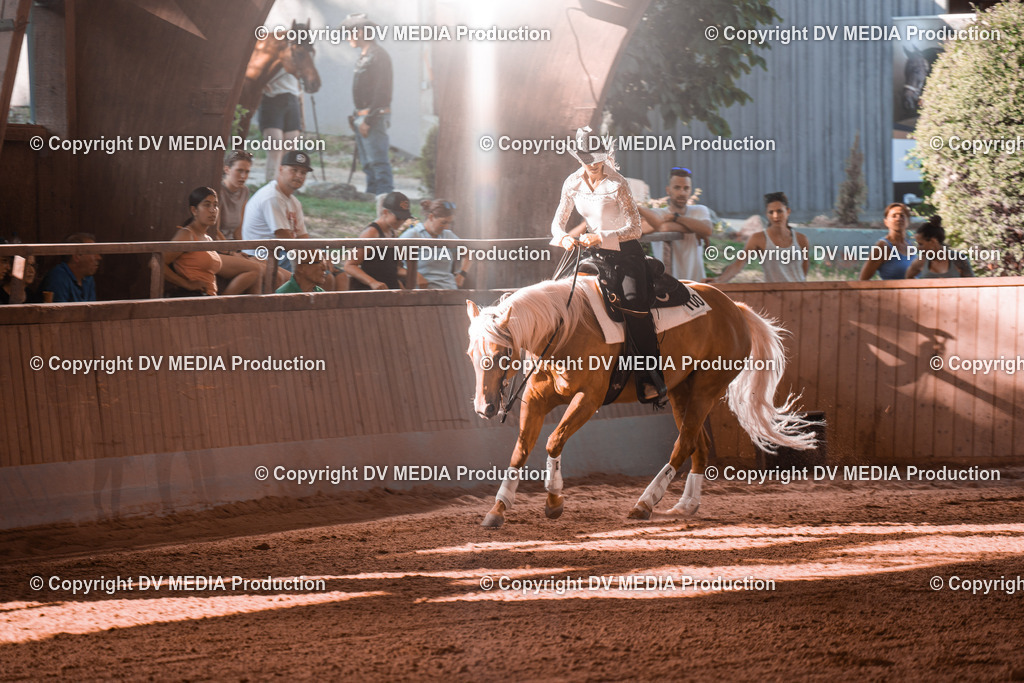 NE201269 | dv-media-shop - Realisiert mit Pictrs.com