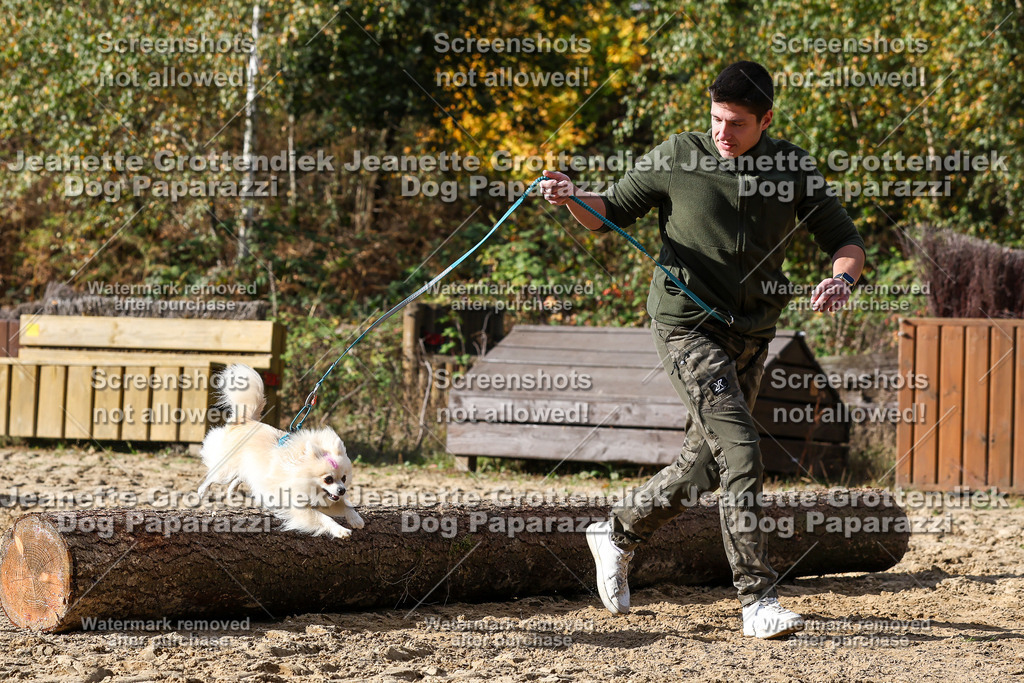 Dog Paparazzi - Strongdog 10-25-4993 | Dog Paparazzi Jeanette Grottendiek Fotografie & Videografie