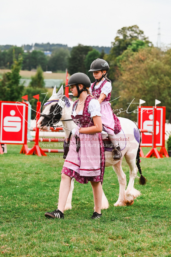 DSC_7357 | Pferde- und Turnierfotografie in Westsachsen. Pferdeportraits, Auftragszeichnungen und intuitive Kunst.