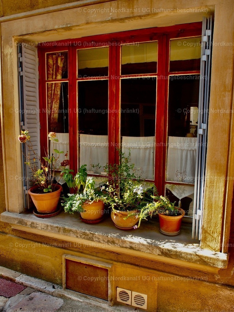 PA272095-1 | OLYMPUS DIGITAL CAMERA          - Realisiert mit Pictrs.com