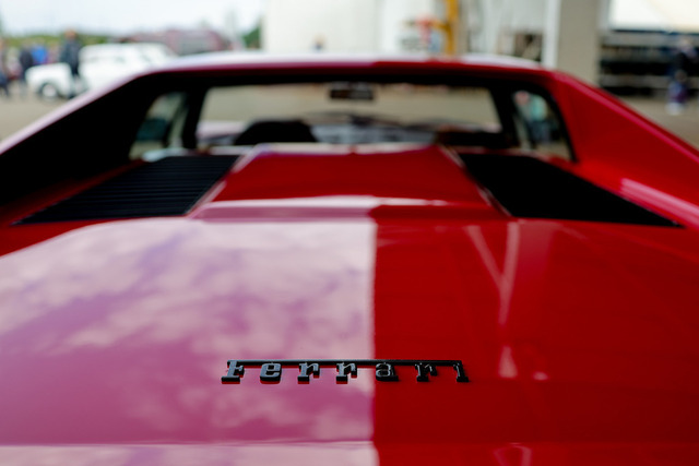 Calag_Oldtimer2025-39 | Ich fotografiere Hundeausstellungen, Sportanlässe, Zuchtstätten, Hundezucht, Hundeportrait, Lagotto - Realisiert mit Pictrs.com