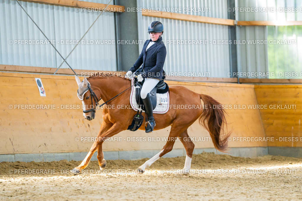 DSC07766 | Pferdegrafie