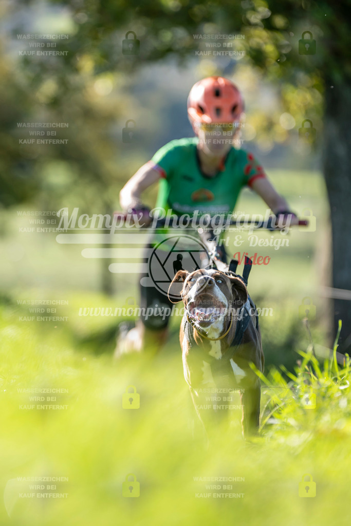 MompixPhotography_20TSB_E3_DS1-28 | PayLife