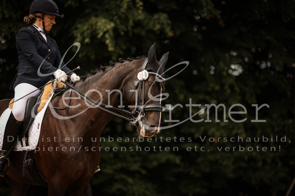 18.SoDrLK00379 | Leoni Ertmer Photography - Realisiert mit Pictrs.com