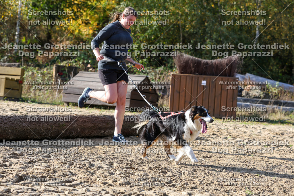 Dog Paparazzi - Strongdog 10-25-6011 | Dog Paparazzi Jeanette Grottendiek Fotografie & Videografie - Realisiert mit Pictrs.com